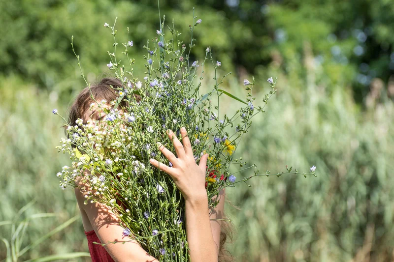 Het Willem-Alexanderpark